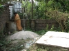 Biogas